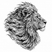 Лев Group - Агентство разработки и Seo-продвижения сайтов Алматы