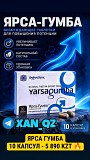 Натуральная виагра Ярсагумба 10 капсул 100% Оригинал Возбудитель Алматы