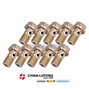 Болт Обратки Тнвд Bosch VE 1463456303 Алматы