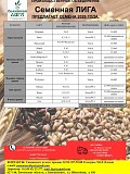 Оригинальные, Элитные и Репродукционные семена от оригинатора Другой город России