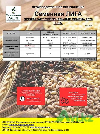 Оригинальные, Элитные и Репродукционные семена от оригинатора Другой город России - изображение 1