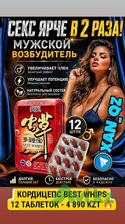Best Whips Кордицепс 12 таблеток Натуральная виагра возбудитель Мощная эрекция и долгоиграющий эффек Алматы - изображение 1