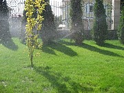 Полив газон освещение брусчатка Астана