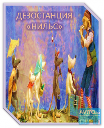 Обработка курятника, птичника в алматы Алматы - изображение 1