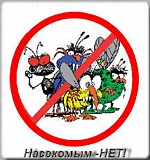 Уничтожение грызунов и насекомых в Алматы. Как уничтожить насекомых. Алматы