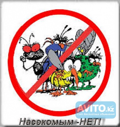 Уничтожение грызунов и насекомых в Алматы. Как уничтожить насекомых. Алматы - изображение 1