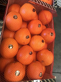 Продаем апельсины из Испании Санкт-Петербург