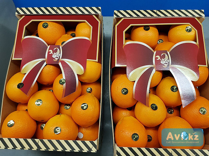 Продаем апельсины из Испании Санкт-Петербург - изображение 1