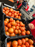 Продаем томаты из Испании Санкт-Петербург