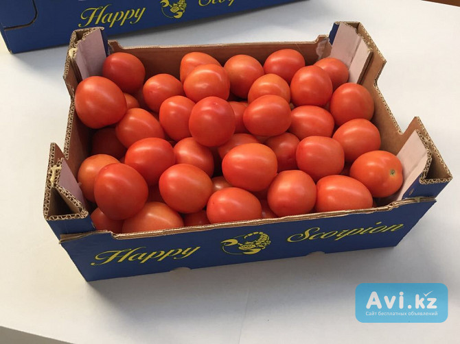 Продаем томаты из Испании Санкт-Петербург - изображение 1