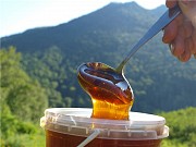 Мёд натуральный горный от пчеловода с эко-пасеки Алматы
