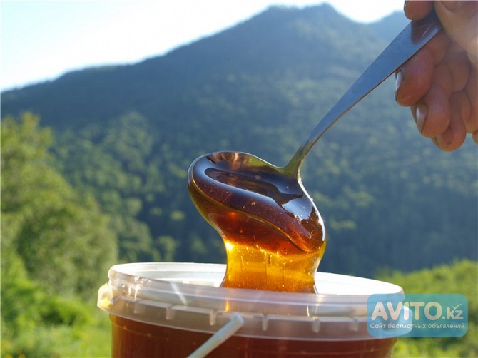 Мёд натуральный горный от пчеловода с эко-пасеки Алматы - изображение 1