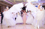 Шоу балет Sulu Алматы