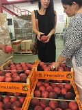 Продаем персик из Испании Москва