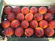 Продаем персик из Испании Москва
