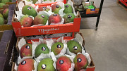 Продаем манго из Испании Санкт-Петербург