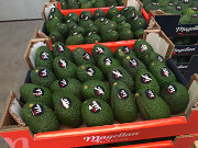 Продаем авокадо из Испании Санкт-Петербург
