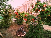 Прописка в Астане Астана