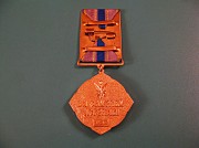 Медаль СВР Украины - Без права на славу. Павлодар