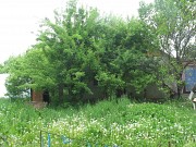 Загородный дом 72 м<sup>2</sup> на участке 18 соток Алматы