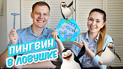 Настольная игра "ловушка для пингвина" или “не урони пингвина” Алматы