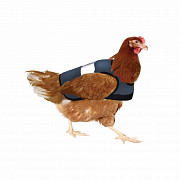 Попона для кур Защита курицы от петуха За границей