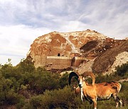 Такси из Актау по святым местам Бекет-ата (шопан Ата) Караман-ата Актау