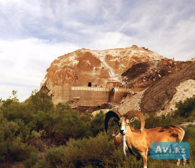 Такси из Актау по святым местам Бекет-ата (шопан Ата) Караман-ата Актау - изображение 1