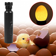 Светодиодный овоскоп для яиц на 220 вольт За границей
