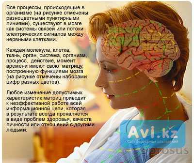 Профессиональный комплекс для диагностики, просмотра состояния и восстановления здоровья человека Санкт-Петербург - изображение 1