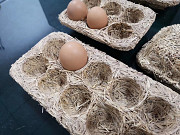 Линия по производству ячейки для яиц Алматы