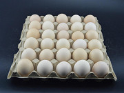 Линия по производству ячейки для яиц Алматы