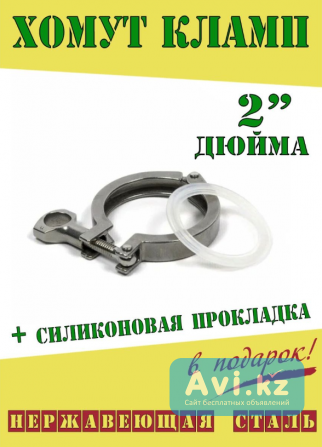 Хомут зажимной с прокладкой для клампового соединения DN 2/3 дюйма Алматы - изображение 1