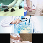 Медицинские услуги: Гирудотерапия (лечебные пиявки), иглорефлексотерапия, Неврапотолог Тараз