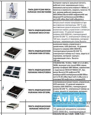 Жарочные шкафы печи плиты мангалы блендера мясорубки соковыжималки измельчители холодильники донеры Алматы - изображение 1