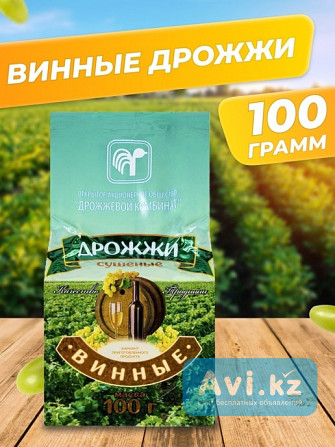 Дрожжи сухие винные (100/250гр) Беларусь Алматы - изображение 1