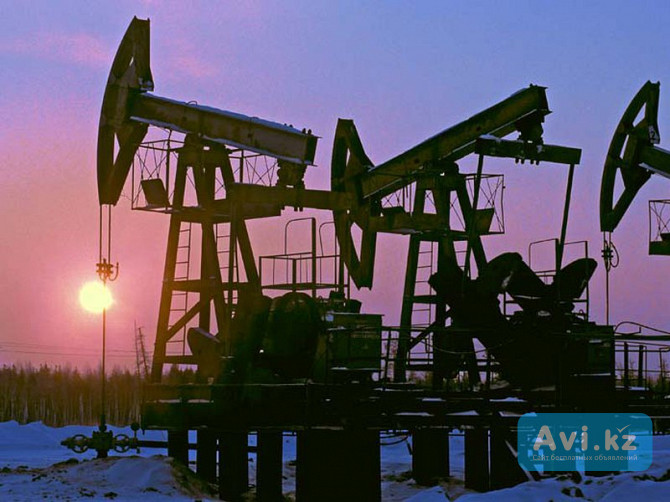 Продаем под заказ Нефть сырая на экспорт Алматы - изображение 1