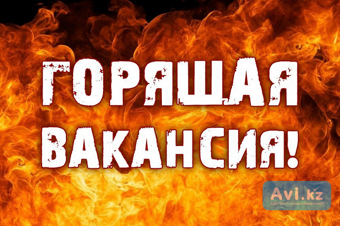 Вакансия Торговый представитель Кокшетау - изображение 1