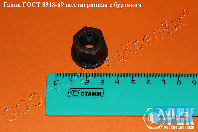 Гайка шестигранная с буртиком гост 8918-69 Москва - изображение 1