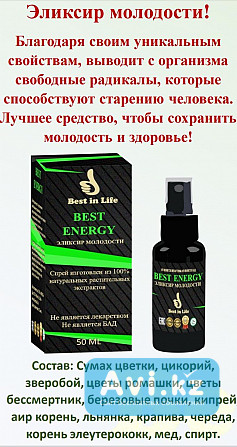 Молодая амбициозная Kазахстанская компания Best in Life Алматы - изображение 1