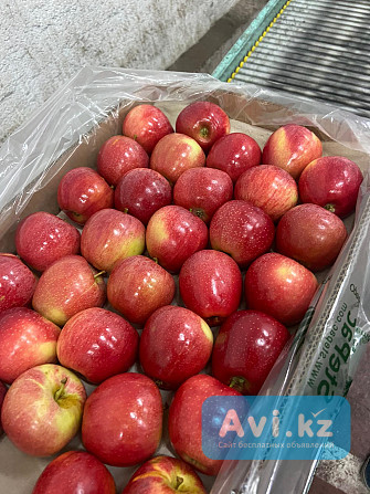 Продаем яблоки Алматы - изображение 1