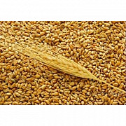 Пшеница экспорт Другой город России