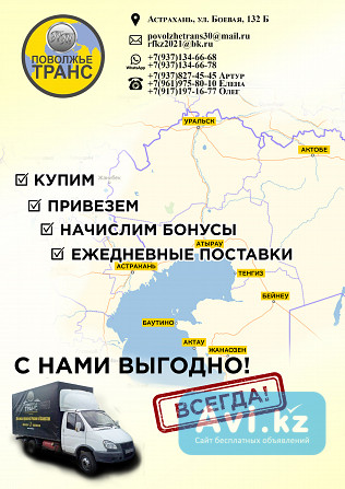 Вэд. Поможем купить любой товар в РФ с закрывающими документами Астана - изображение 1