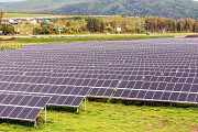 Бизнес партнер в солнечную электростанцию Тараз
