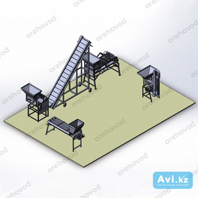 Промышленная линия по переработке грецкого ореха (100 кг/ч) Алматы - изображение 1