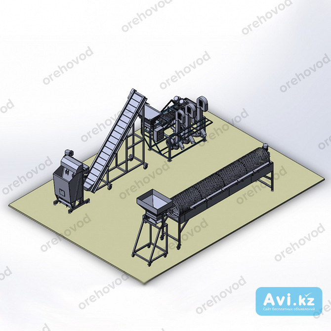 Промышленная линия по переработке грецкого ореха (200 кг/ч) Алматы - изображение 1