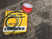 Комплект уплотнений 9061920 для бульдозера Liebherr Pr754 доставка из г.Алматы