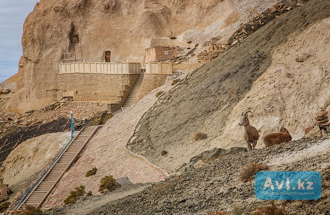 Такси с жд вокзала Актау поездка к подземной мечети Караман-ата, Бекет-ата, Шопан-ата Актау - изображение 1