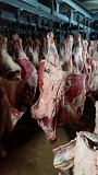 Мясо говядины Баранина Алматы