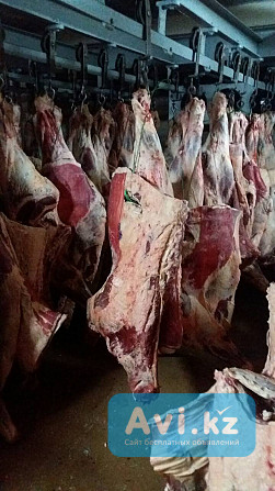 Мясо говядины Баранина Алматы - изображение 1